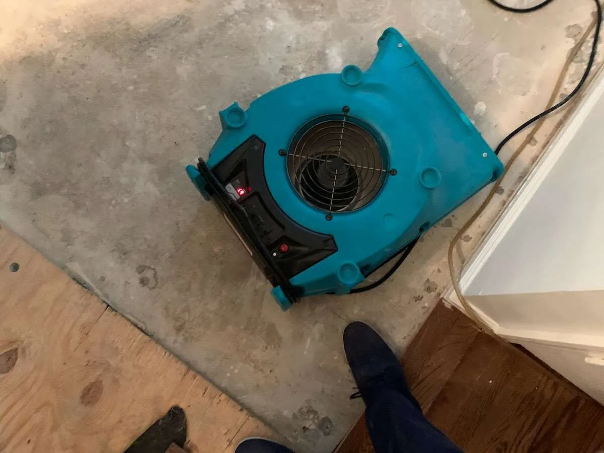 Air mover drying subfloor during Leak Detection & Repair in Pacific